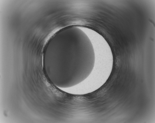 X0000103951323200810171829