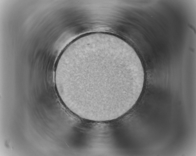 X0000103951324200810171829