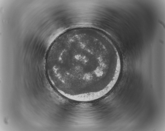 X0000103951325200810171829