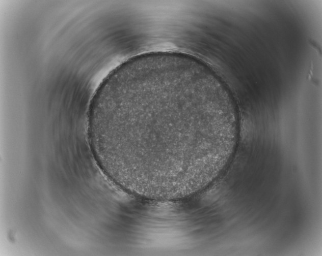 X0000103951326200810171829