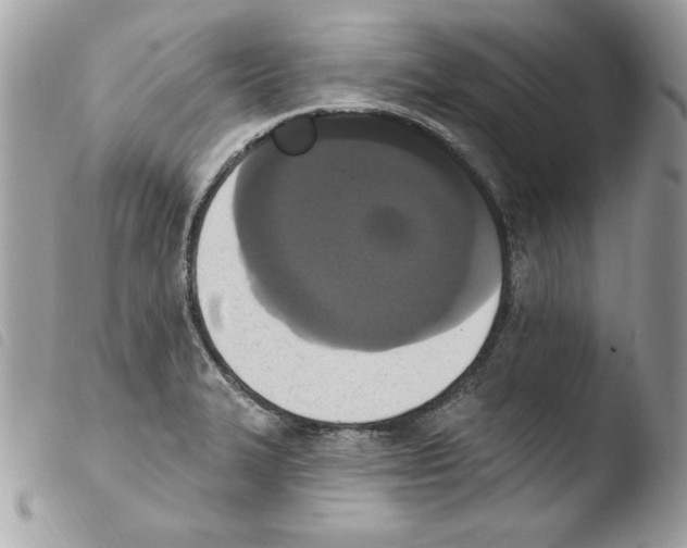 X0000103951327200810171829