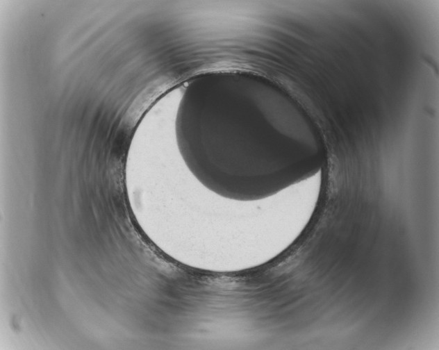 X0000103951329200810171829