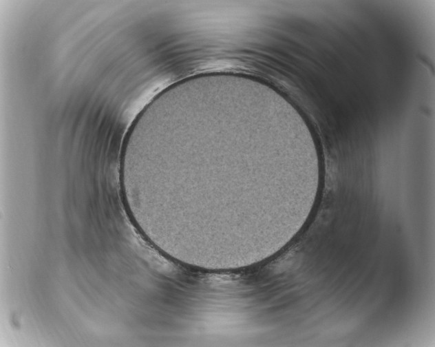 X0000103951330200810171829