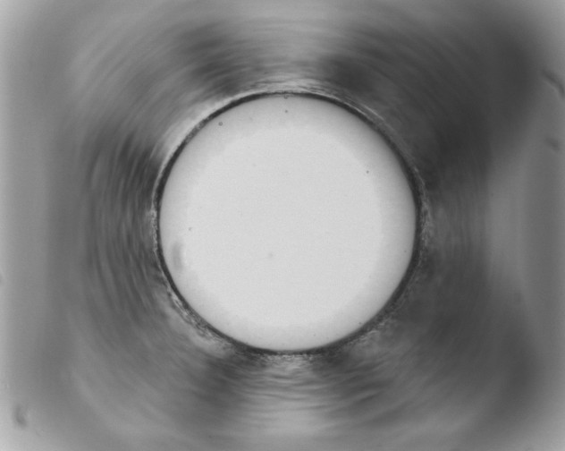 X0000103951332200810171829