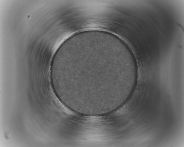 X0000103951333200810171829