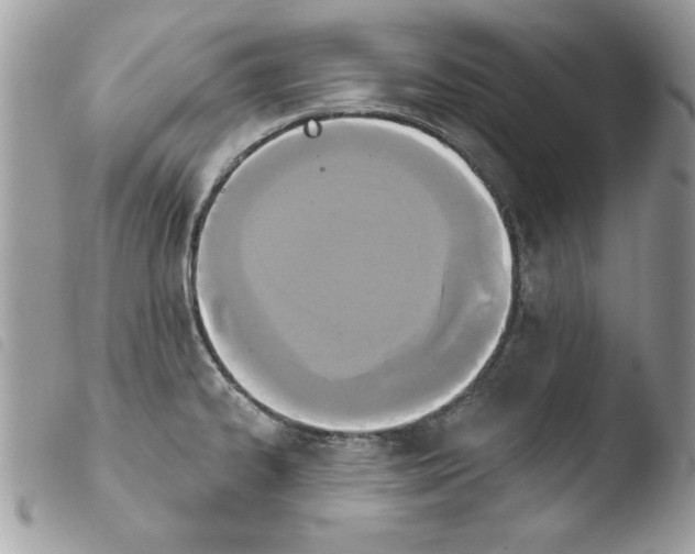 X0000103951334200810171829