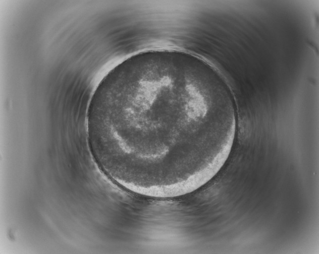 X0000103951335200810171829