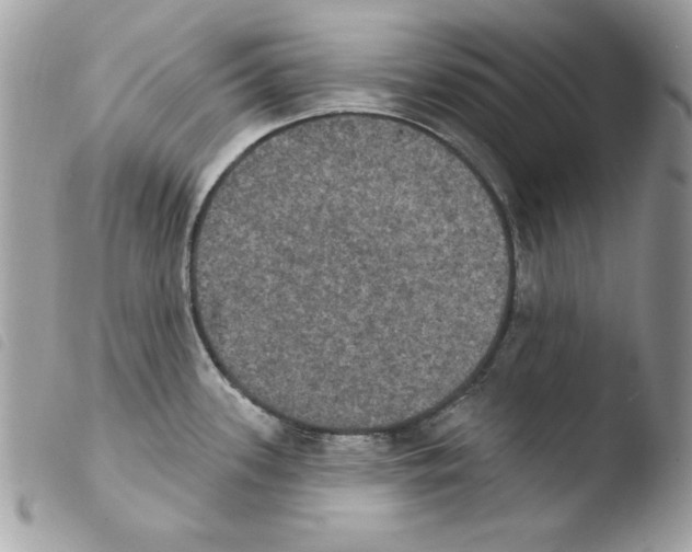 X0000103951339200810171829