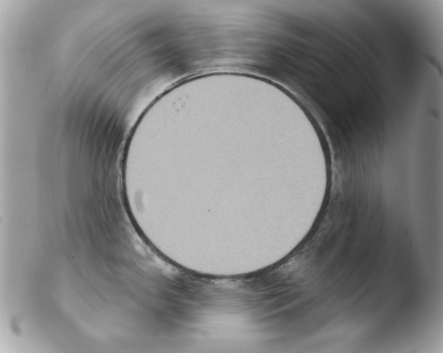 X0000103951341200810171829