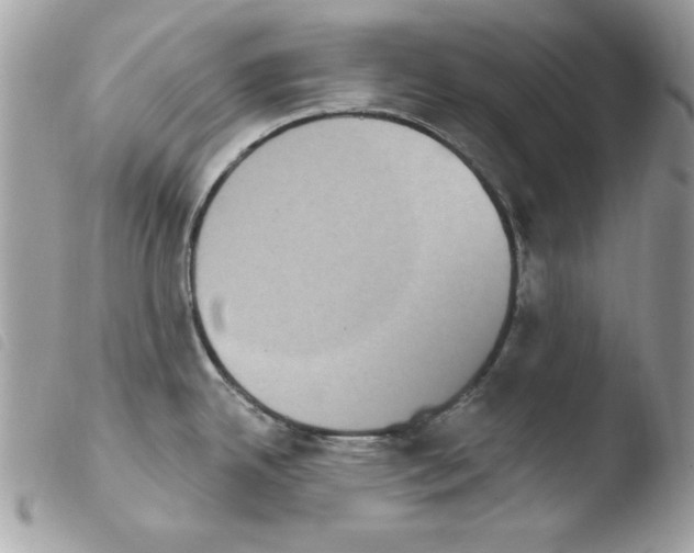 X0000103951342200810171829