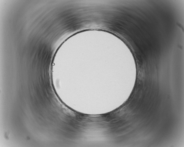 X0000103951343200810171829