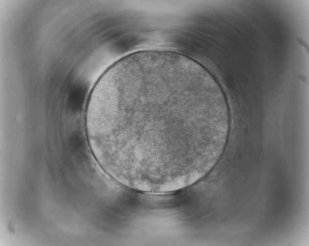 X0000103951344200810171829