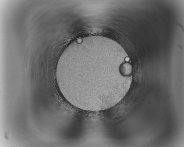 X0000103951345200810171828