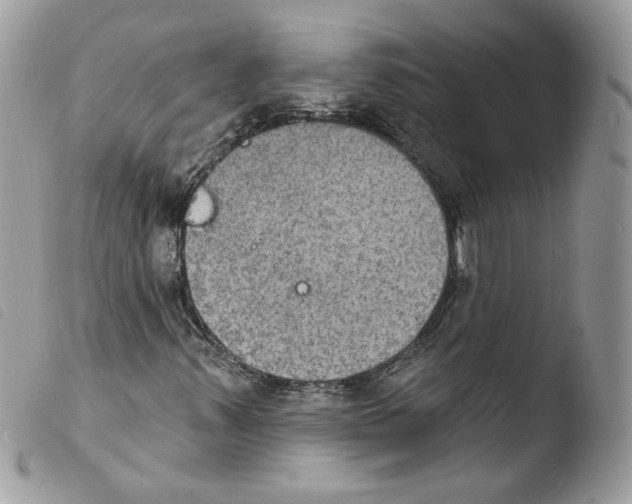 X0000103951347200810171828