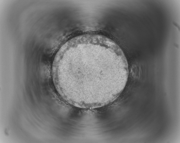X0000103951348200810171828