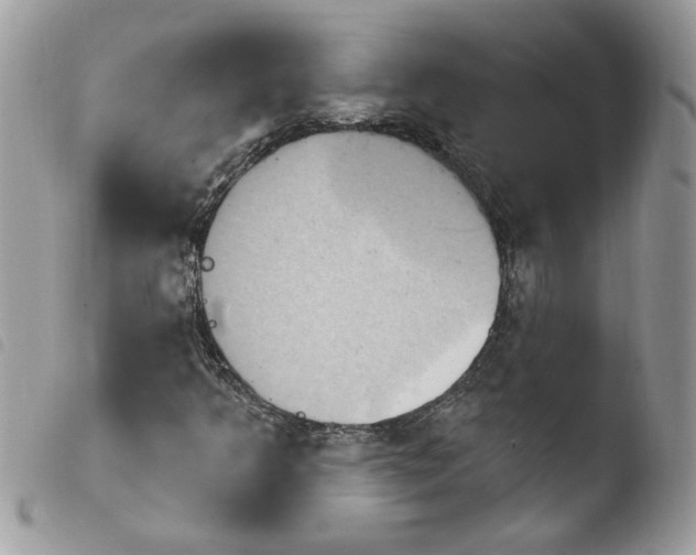 X0000103951349200810171828
