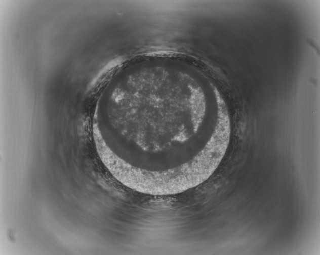 X0000103951351200810171828