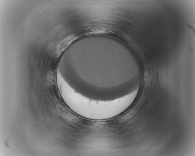 X0000103951353200810171828