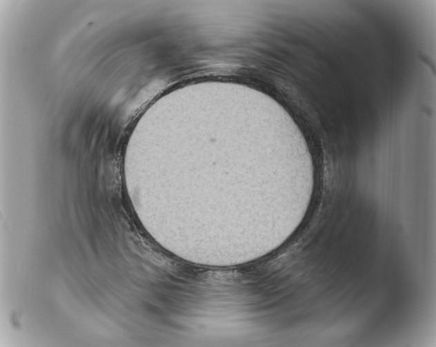 X0000103951354200810171828
