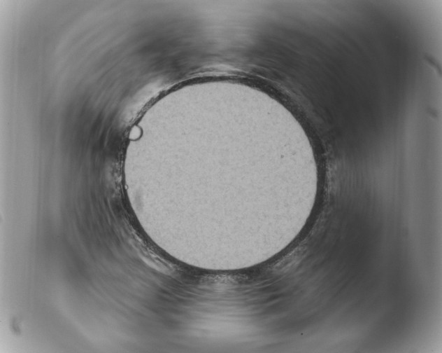 X0000103951355200810171828