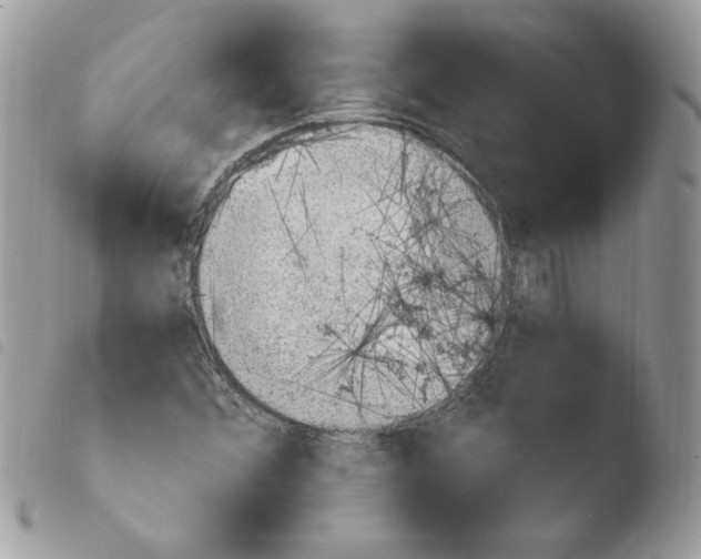 X0000103951356200810171828