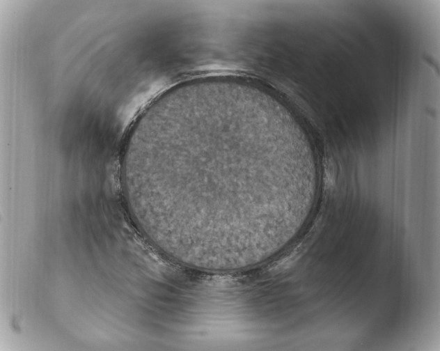 X0000103951357200810171828