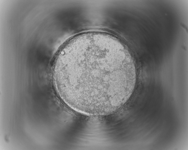 X0000103951360200810171828