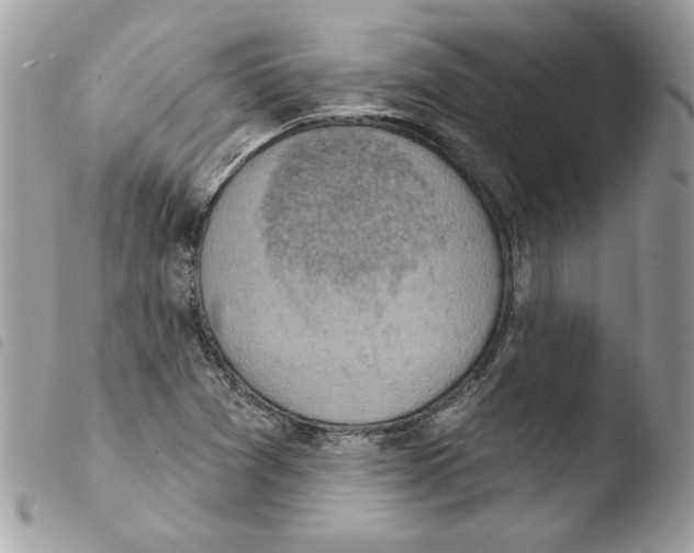 X0000103951361200810171828