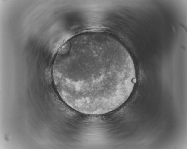 X0000103951362200810171828