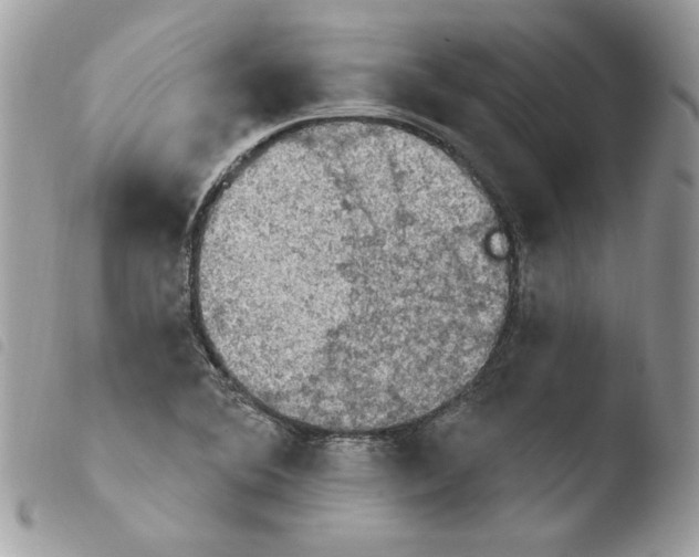 X0000103951364200810171828