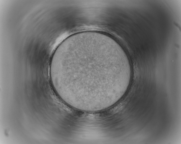 X0000103951365200810171828