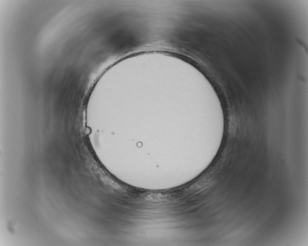 X0000103951366200810171828
