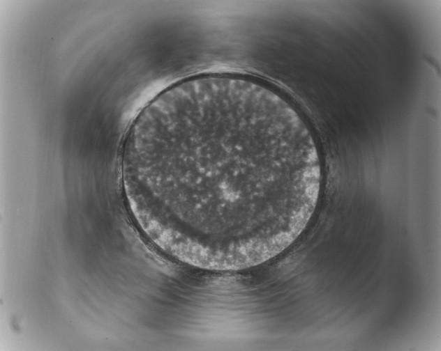 X0000103951367200810171828