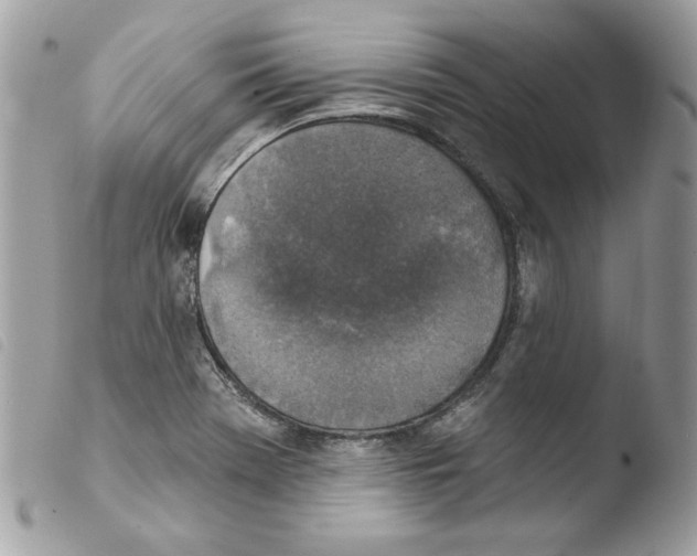 X0000103951369200810171828