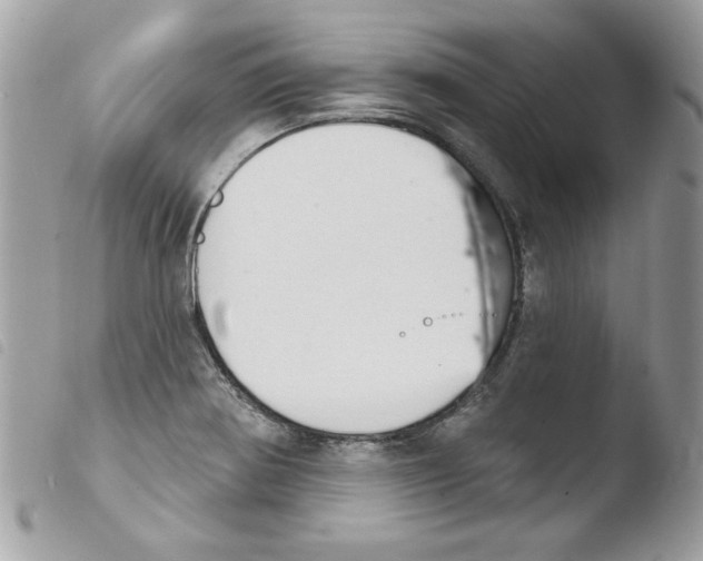 X0000103951370200810171828