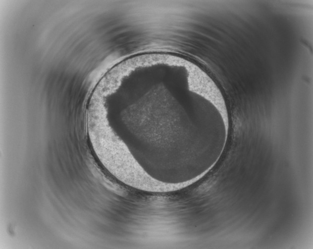 X0000103951371200810171828