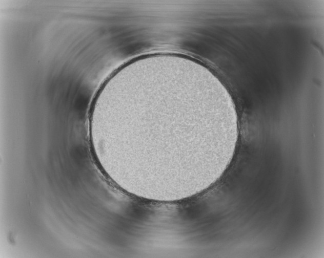 X0000103951372200810171828