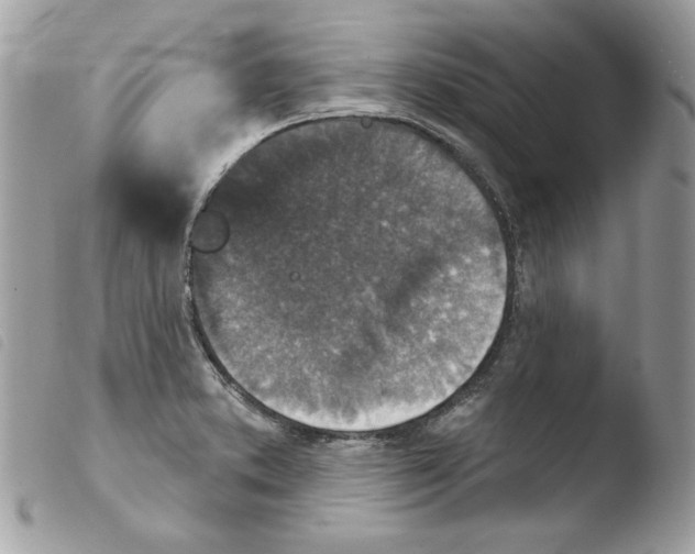 X0000103951373200810171828
