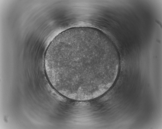 X0000103951374200810171828