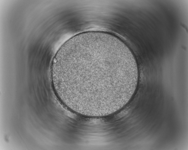 X0000103951375200810171828