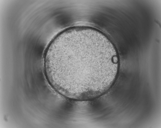 X0000103951376200810171828