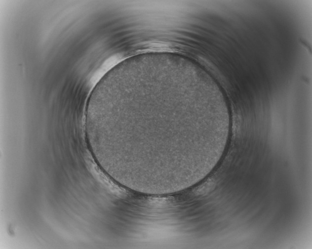 X0000103951378200810171828