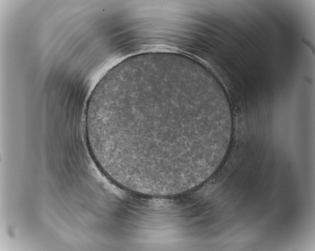 X0000103951379200810171828