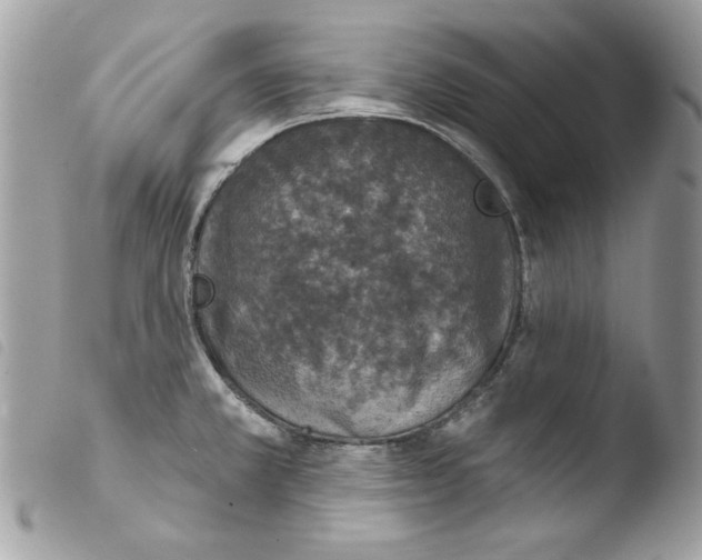 X0000103951381200810171828