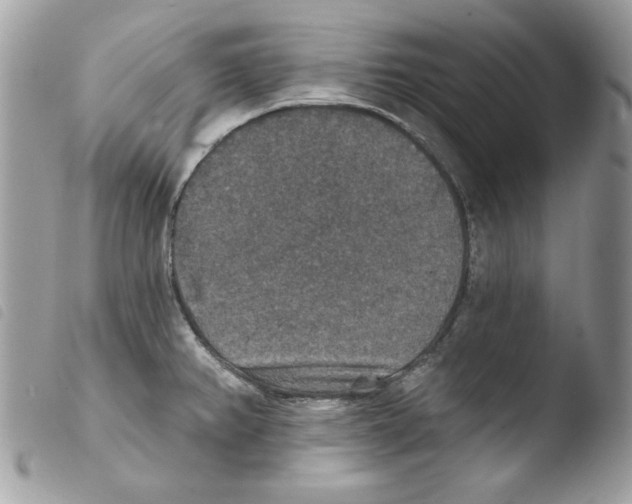 X0000103951382200810171828
