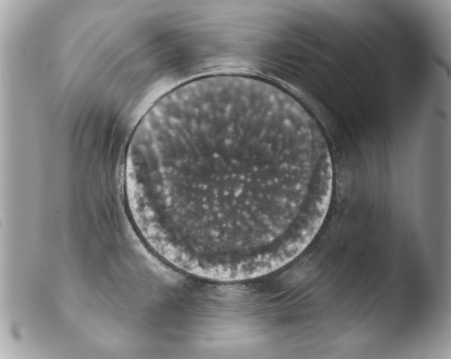X0000103951383200810171828