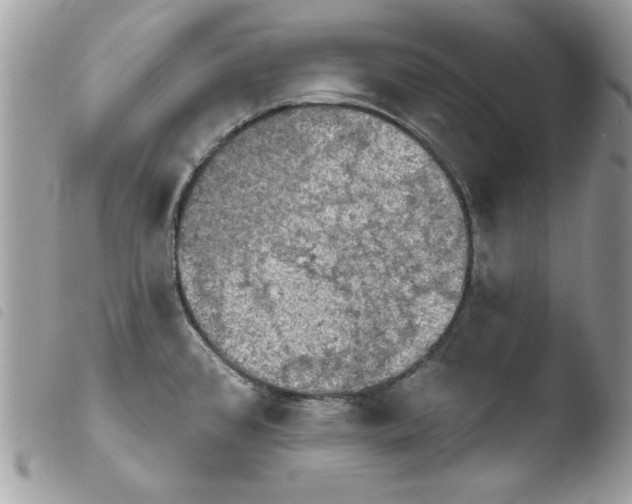 X0000103951384200810171828