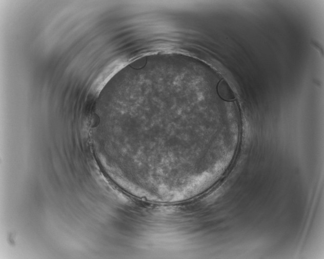 X0000103951385200810171828