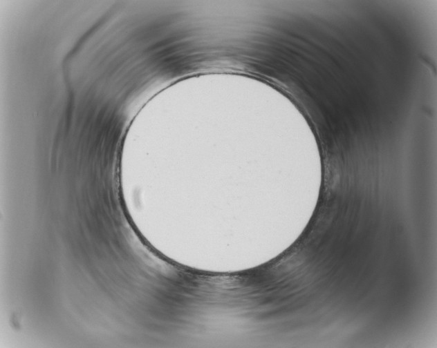 X0000103951387200810171828