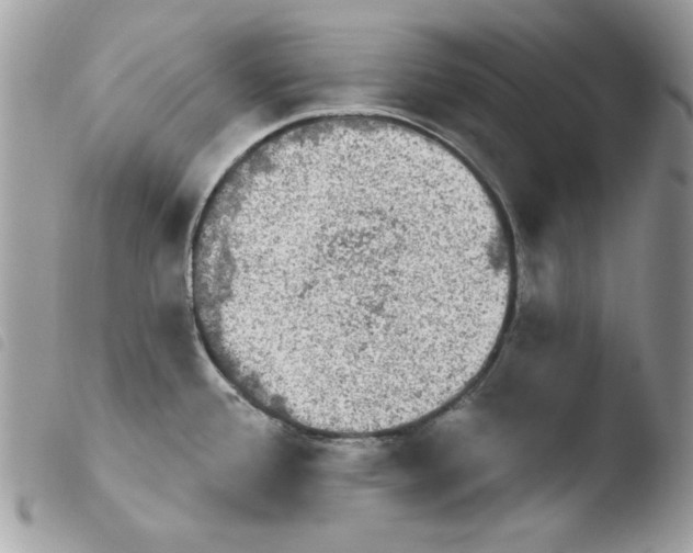 X0000103951388200810171828
